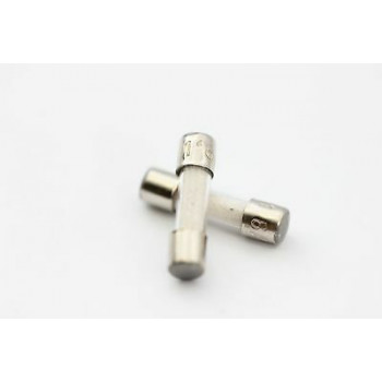 1.6A SLOW-BLOW CERAMIC FUSE 5X20 NOS( New Old Stock) 2PC C334U60F230514