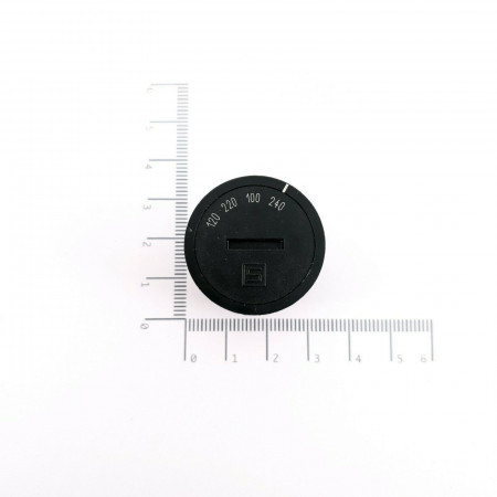 1 x VOLTAGE SWITCH SWZ 250V/6.3A  250V/10A. CA383U42F170621