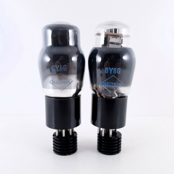 2 X 6Y6G HALTRON TUBE. BLACK PLATES. SMOKED GLASS. NOS/NIB. AC  ENA 2