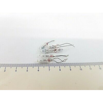 LOT 6 X BOMBILLA DIAL RADIO BOMBILLITA BULB  24V. 6 PCS. RCA30/4