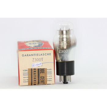 1 X Z300T RSD TUBE....