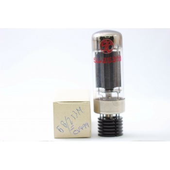 1 X 5B/256M / CV499 STC...