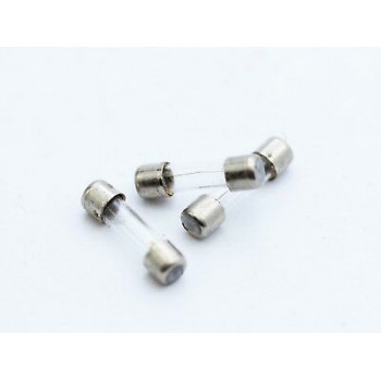 0.1A 220V FAST-ACTING GLASS FUSE NOS 5PC. CA258U32F280417