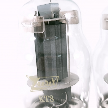2 X KT8 ZAERIX TUBE. RUSSIAN PROD. DUAL GETTER. MATCHED PAIR. 1. CP216