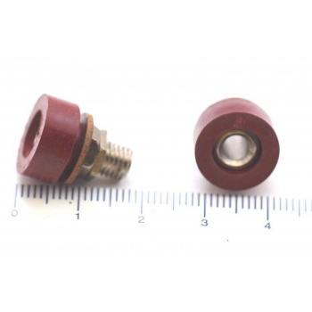 FEMALE BANANA PANEL...