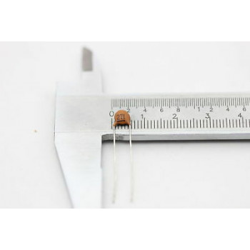 CERAMIC CAPACITOR 0.27nF 100V NOS (NEW OLD STOCK) 2PC. CA84U650F101016