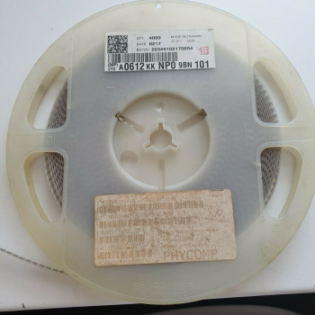 10 x A0612KKNP09BN101 SMD PHYCOMP SEMICONDUCTOR. (R322) CA394U2500F220721