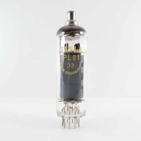 1 X PL81 TESLA TUBE. 2. CH45